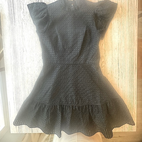 Shoshanna Delaney Robbin Gingham Mini Dress 4 - Picture 4 of 14